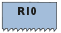 r10